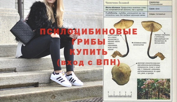 дмт Алексин