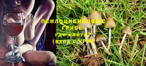 дмт Алексин