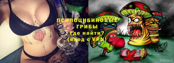 ECSTASY Новозыбков